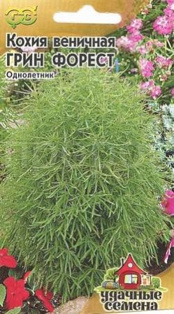 Кохия Грин Форест 0,3г веничная Кохия Грин Форест 0,3г веничная