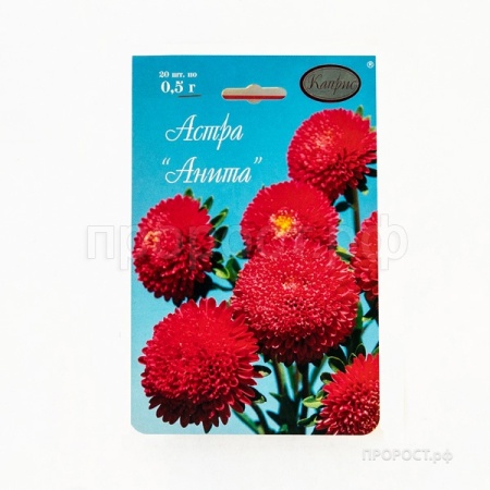 Астра Помпонная красная Анита 20*1 Астра Помпонная красная Анита 20*1