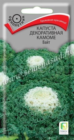 Капуста декоративная Камоме Вайт 10шт Капуста декоративная Камоме Вайт 10шт