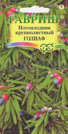 Ногоплодник круглолистный Голиаф 3шт Ногоплодник круглолистный Голиаф 3шт