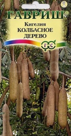 Кигелия Колбасное дерево 3шт  Кигелия Колбасное дерево 3шт