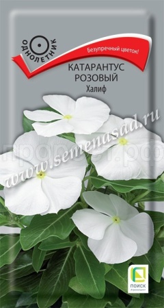 Катарантус розовый Халиф 0,1г Катарантус розовый Халиф 0,1г