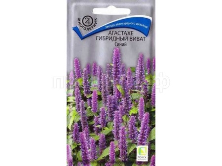 Агастахе Виват Синий 10шт Агастахе Виват Синий 10шт