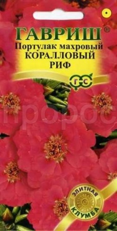 Портулак Коралловый риф 0,01г Портулак Коралловый риф 0,01г