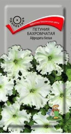 Петуния бахромчатая Афродита белая 10шт Петуния бахромчатая Афродита белая 10шт